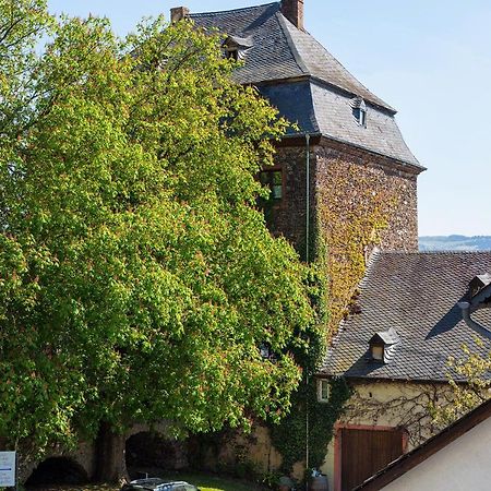 Ferienwohnung Sauvignon Blanc Weingut Zur Burg Klusserath Exterior foto